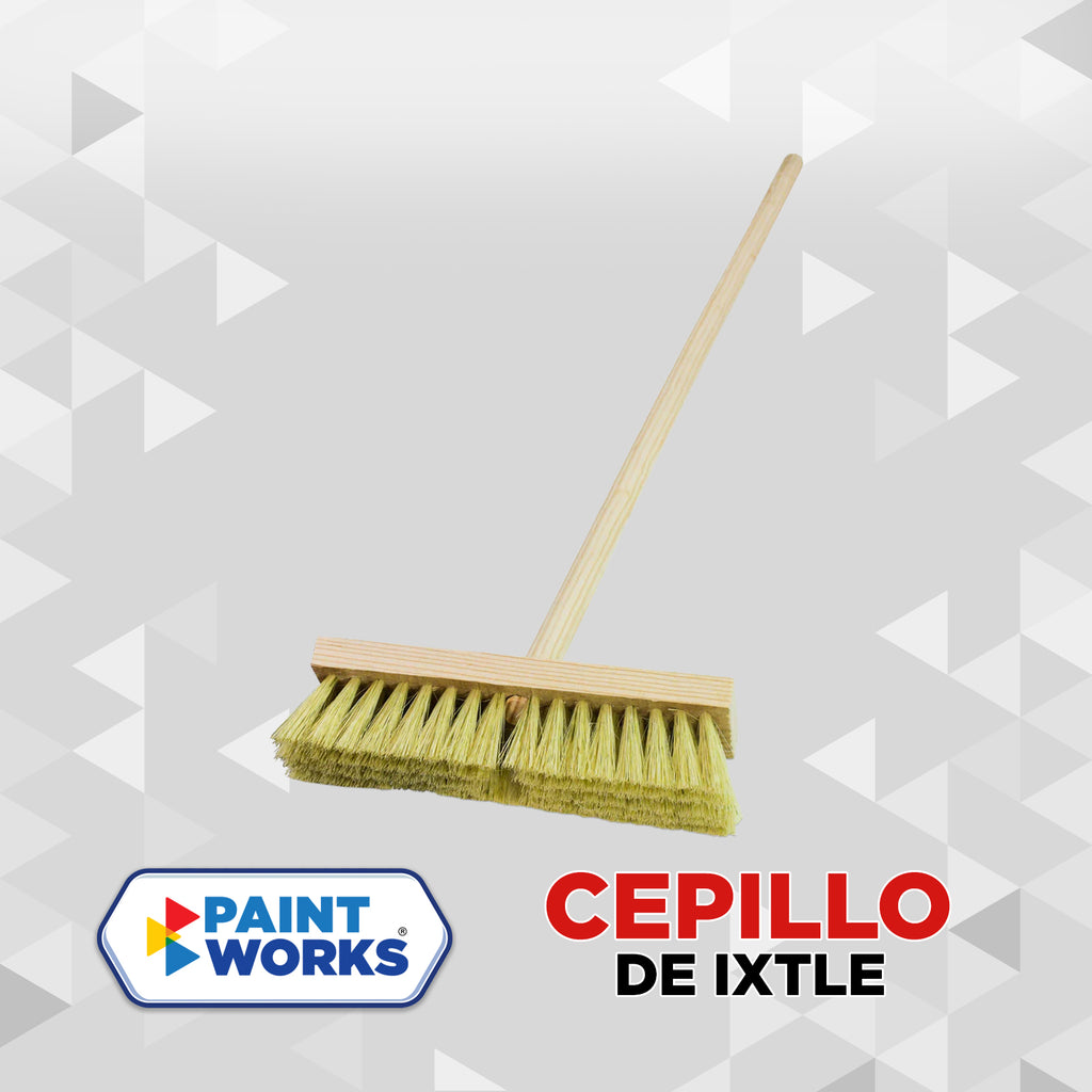 CEPILLO IXTLE