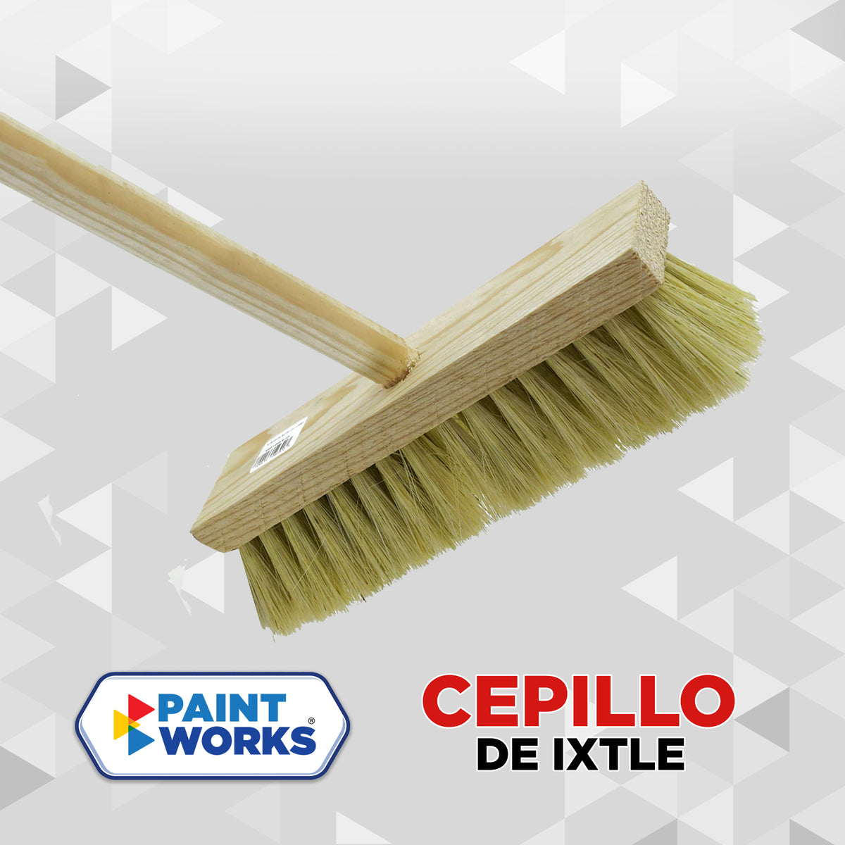 CEPILLO IXTLE